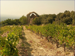 Beaumes-de-Venise