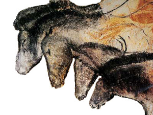 Portrait-Culture-Chauvet
