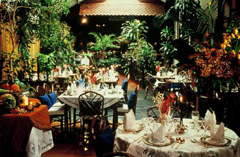11-Bonne-Table-Blue-Elephant