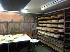 Fromage-Abondance
