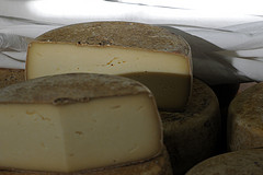 Fromage-Brebis-Vallee-d-ossau