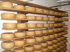 Fromage-Brebis-des-Pyrenees