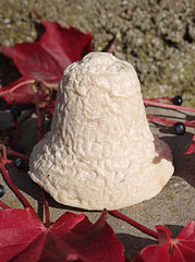 Fromage-Clochette