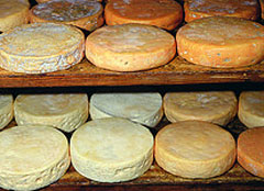 Fromage-Munster