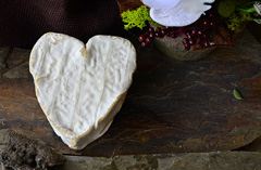 Fromage-Neufchatel