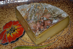 Fromage-Saint-Nectaire
