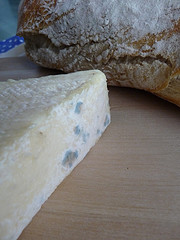 Fromage-Tricorne-de-Marans