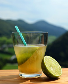Gastronomie-Punch-CGA