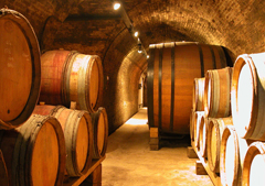 Vins-Clos-du-Caillou