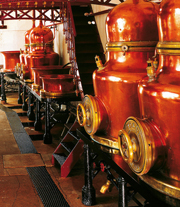 Vins-Distillerie-Combier