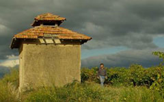 Vins-Domaine-Magellan
