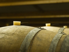 Vins-Domaine-Yves-Cuilleron