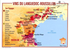 Vins-Les-vins-du-Languedoc-Roussillon