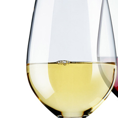 Vins-Vignoble-Malidain