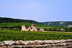 Vins-de-Bourgogne-Clot-Vougeot