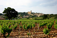 Vins-du-Rhone-Chateauneuf-du-Pape