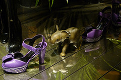 8-Shopping-de-Luxe-Sonia-Rykiel-Chaussures
